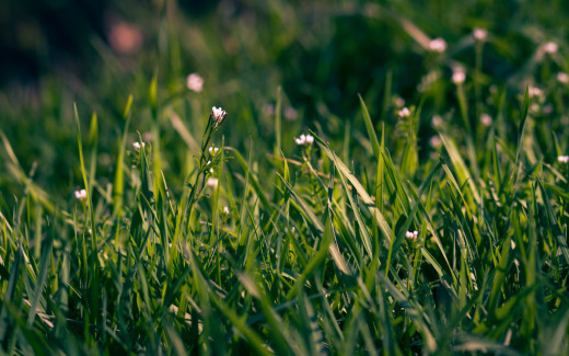 1705192 (a): :2560x1600